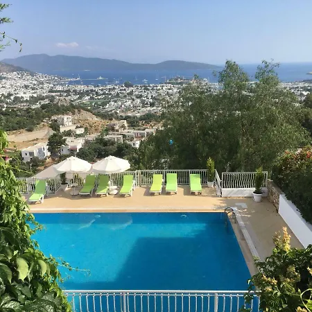 Turkkuyusu Mah. Lapa Cavus Sok. Apartmán
